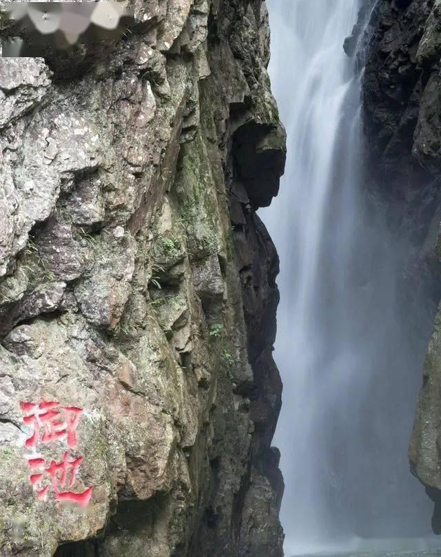小猫钓鱼游戏龙王版有船